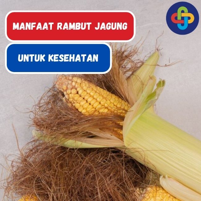 Belum Banyak Yang Tahu, Ternyata Rambut Jagung Banyak Manfaatnya